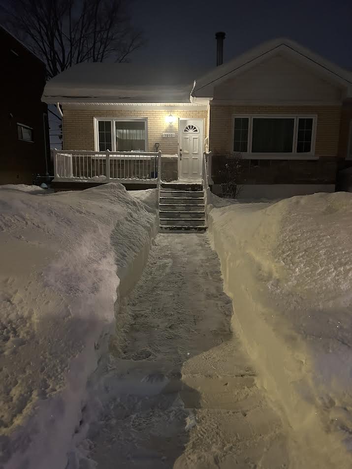 Entrée résidentielle déneigée en hiver