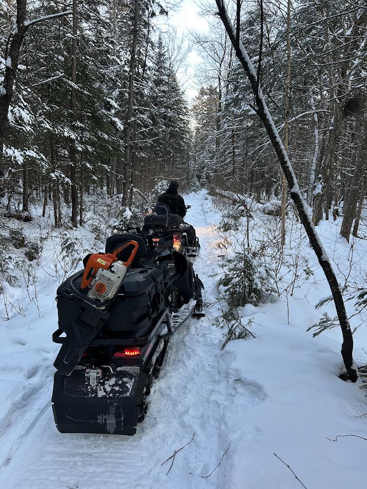 Entretien d’espaces en forêt avec ski-doo