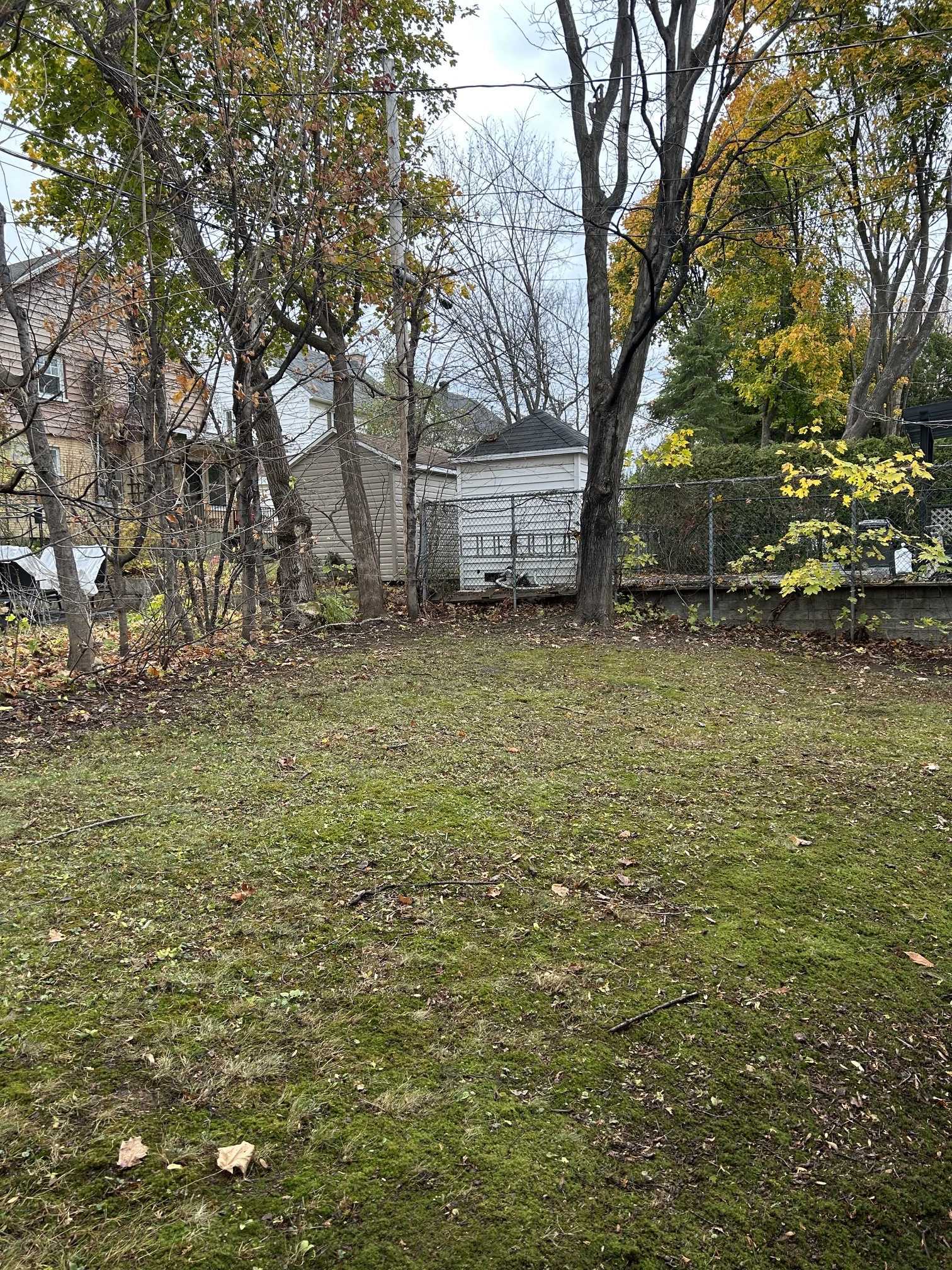 Terrain après ramassage de feuilles