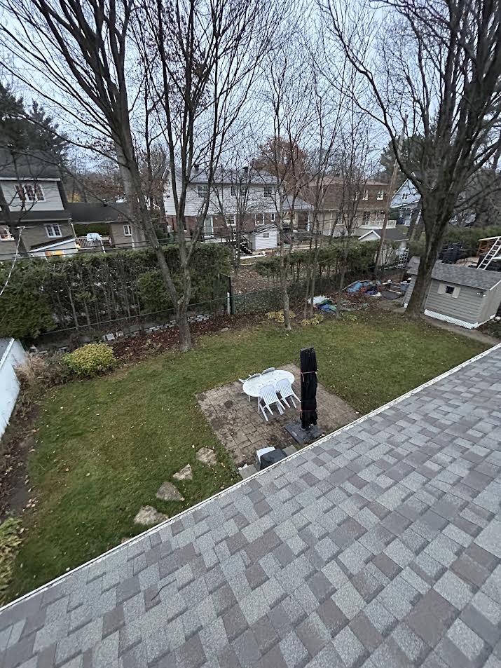 Après ramassage de feuilles par MG.CO Entretien