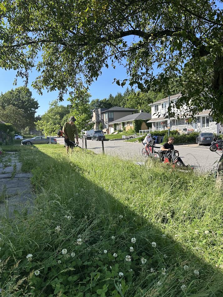 Terrain mal entretenu avant les travaux